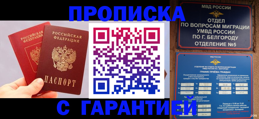 прописка 2025 в Кашине